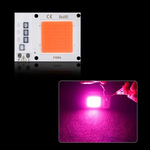 Foxanon-LED-Lamp-beads-110V-220V-COB-Chip-Phyto-Lamps-Full-Spectrum-10W-20W-30W-LED.jpg q50.jpg